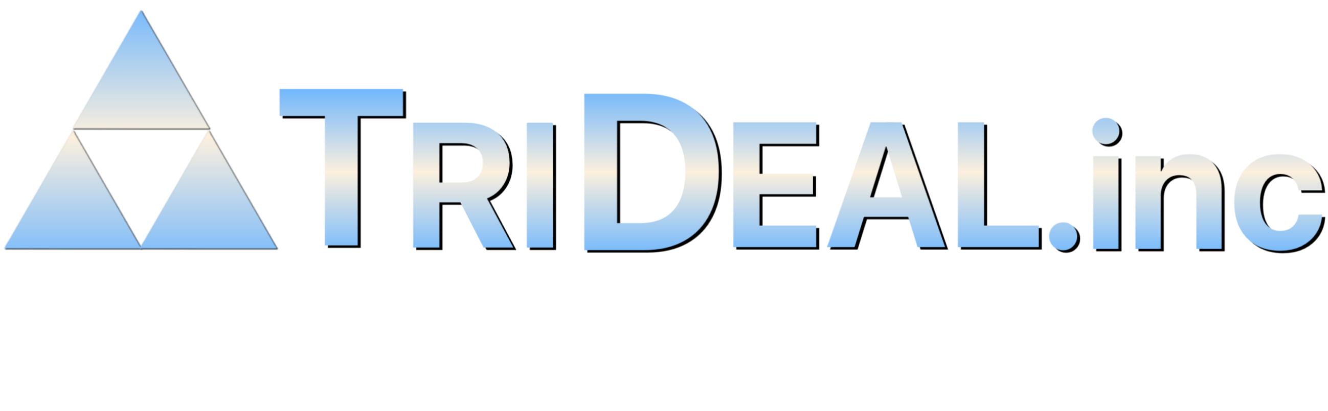 株式会社TriDeal